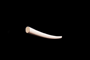 Detailbild Standard Bokken